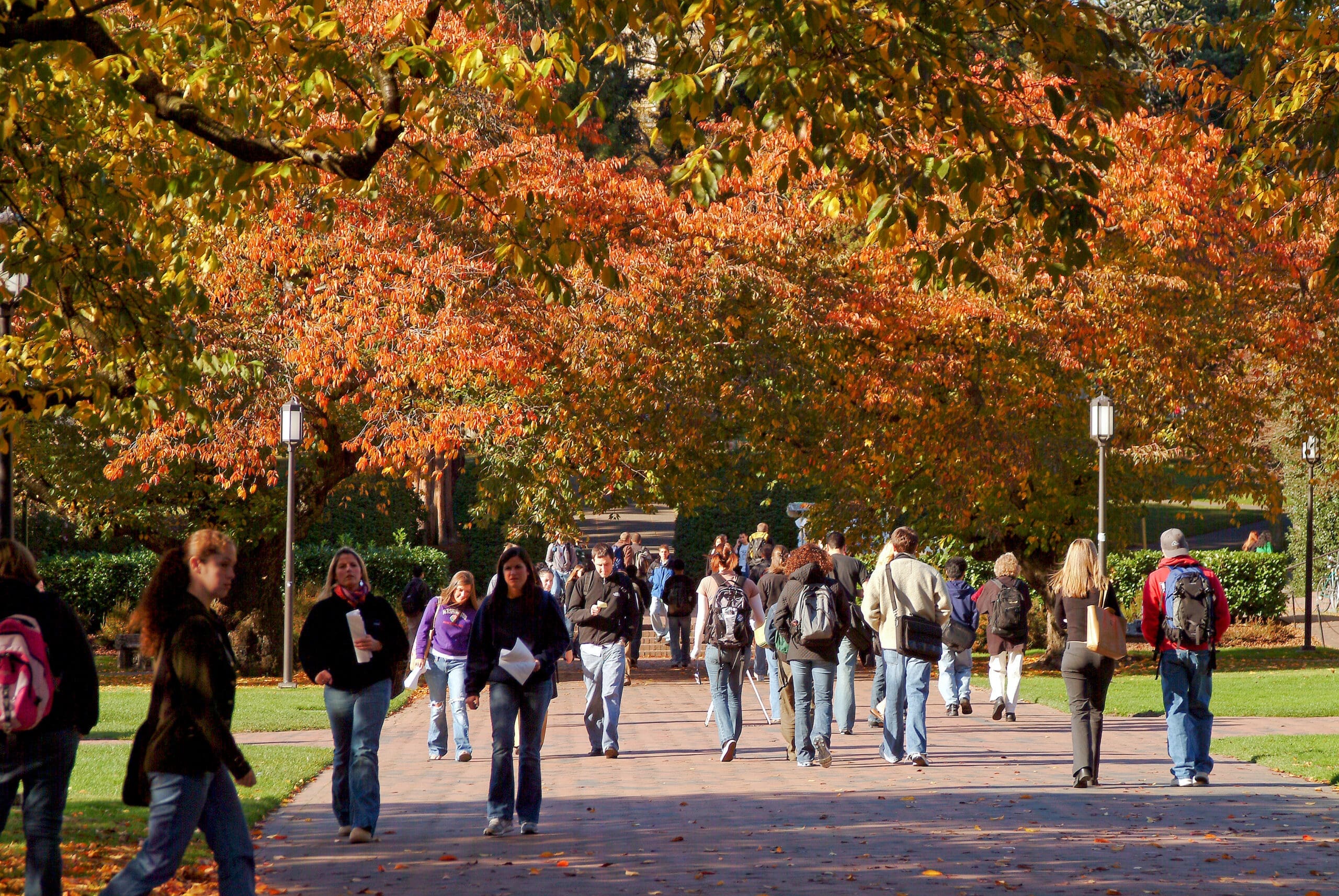 Students walk around the UW quad during a sunny days in the Fall.