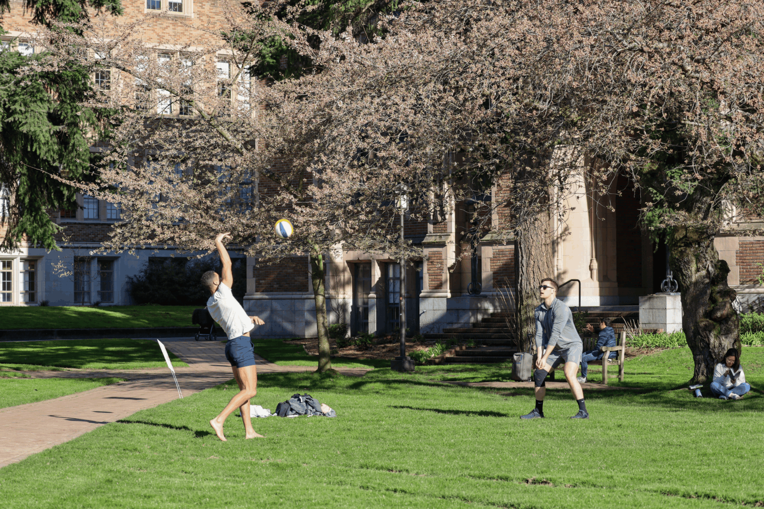 Students enjoying the outdoors on UW campus